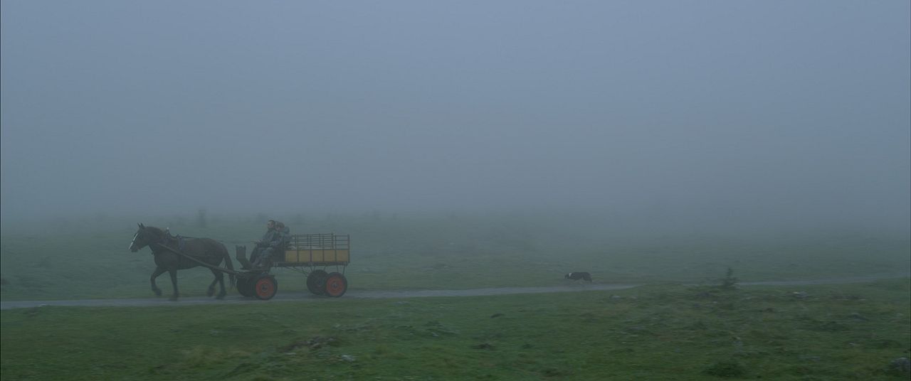 La Belle vie : Photo