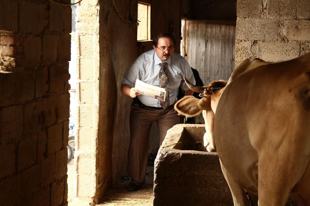 Sürgün Inek : Photo Burak Satıbol