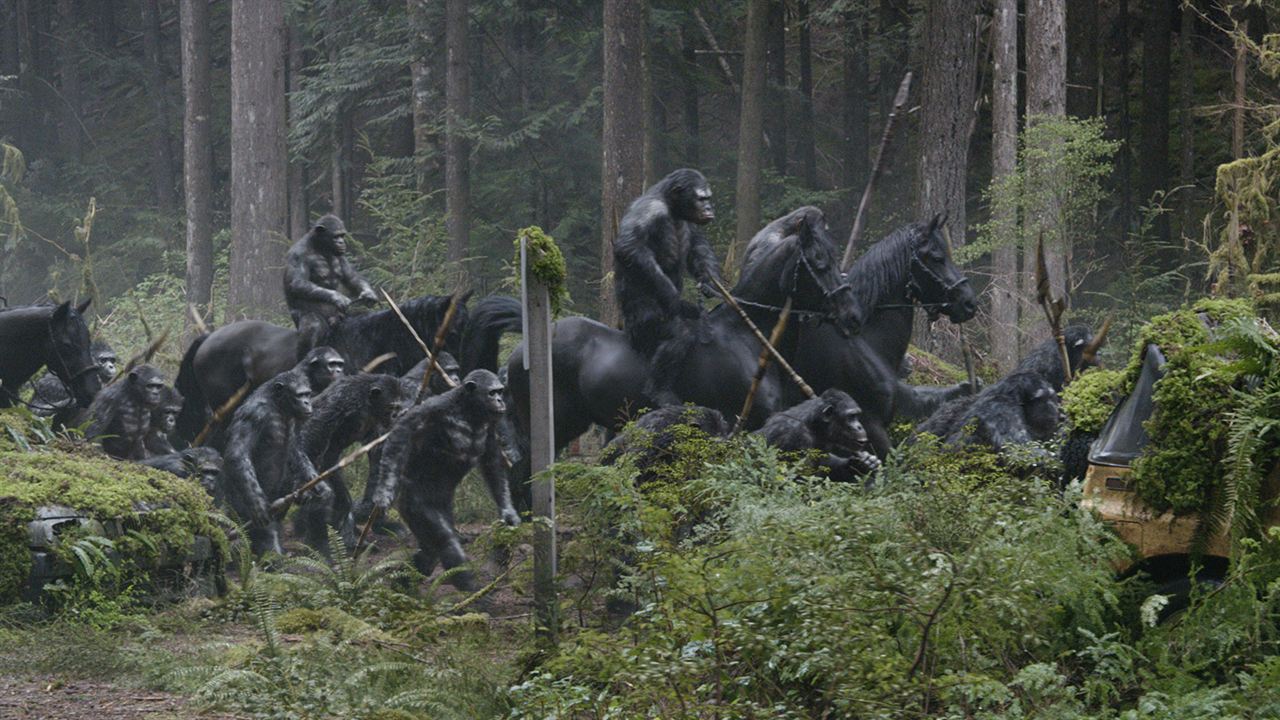 La Planète des singes : l'affrontement : Photo