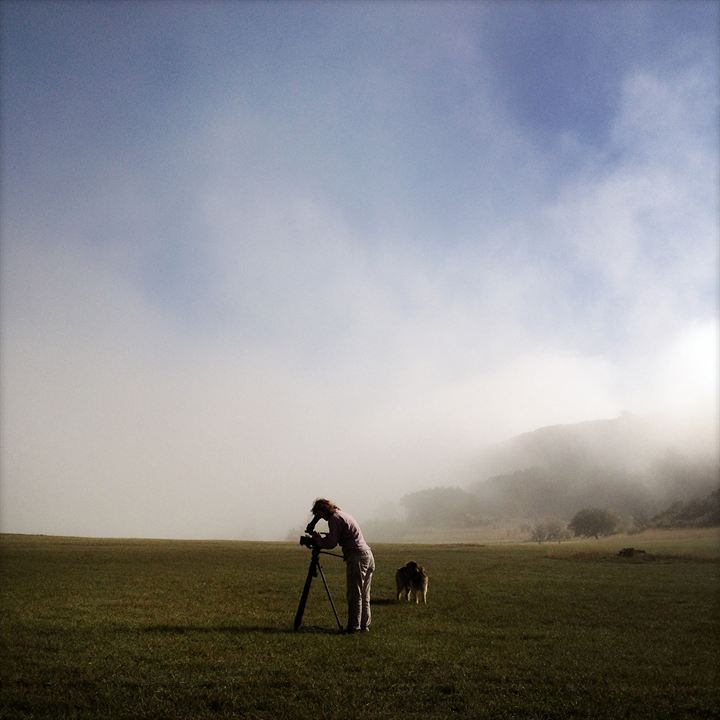 Les Chèvres de ma mère : Photo