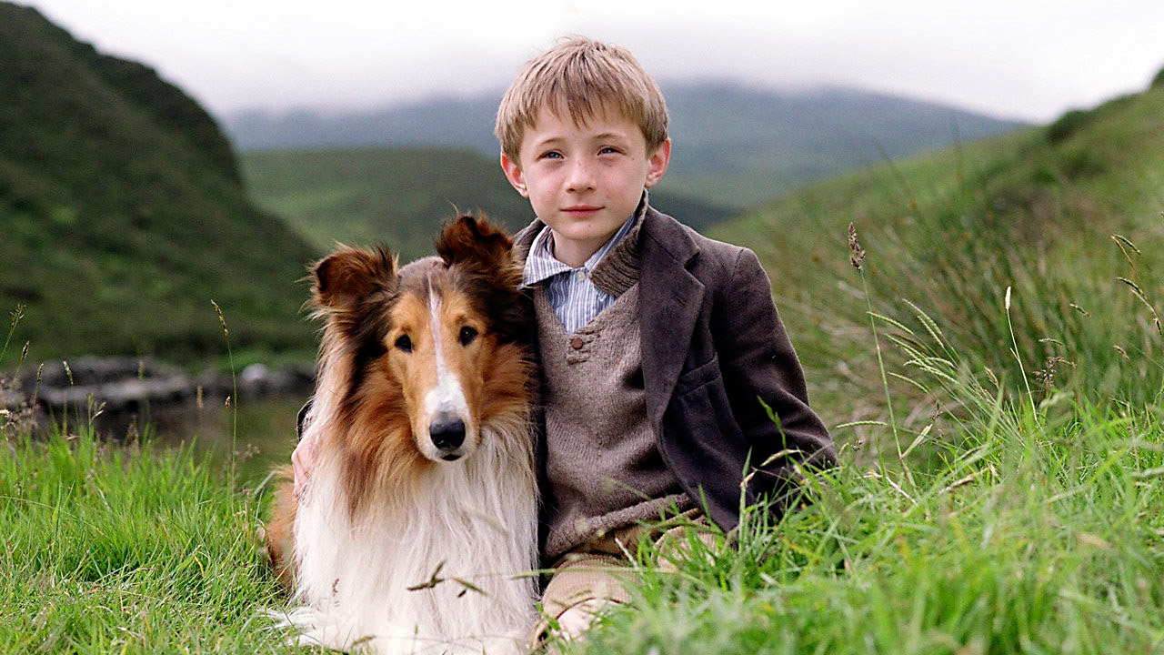 Lassie : Photo