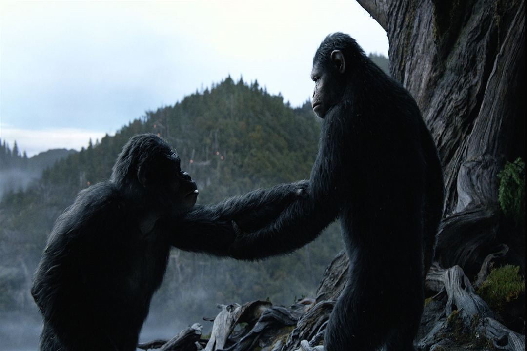 La Planète des singes : l'affrontement : Photo