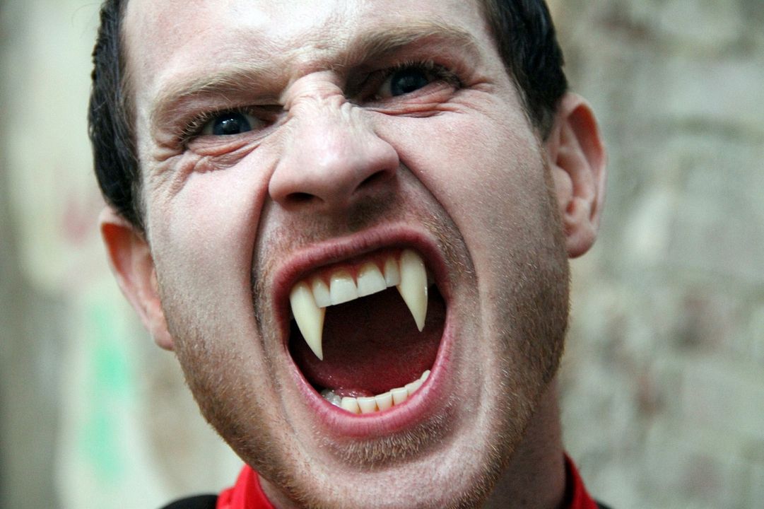 Saint Dracula : Photo