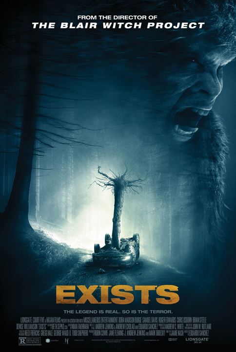 Exists : Affiche