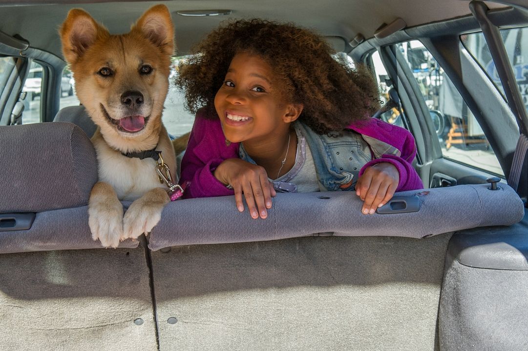 Annie : Photo Quvenzhané Wallis