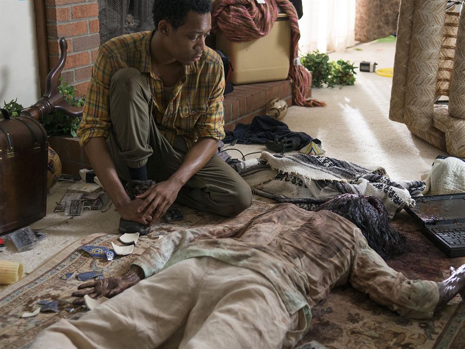 The Walking Dead : Photo Chad L. Coleman, Tyler James Williams, Steven Yeun, Andrew Lincoln