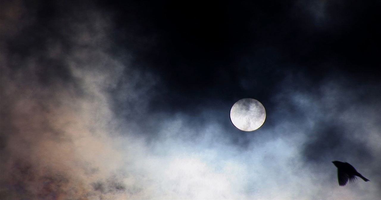 L'Echappée, à la poursuite d’Annie Le Brun : Photo