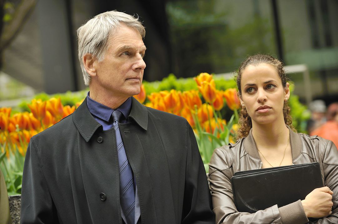 Une proie certaine : Photo Athena Karkanis, Mark Harmon