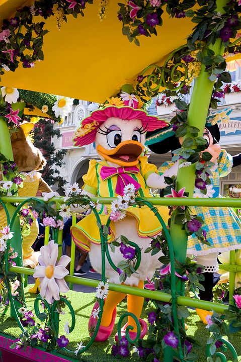 Photo Daisy