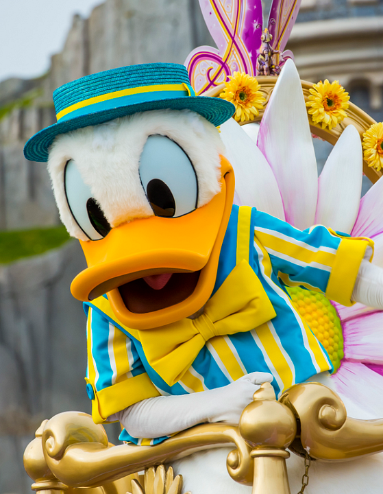 Affiche Donald