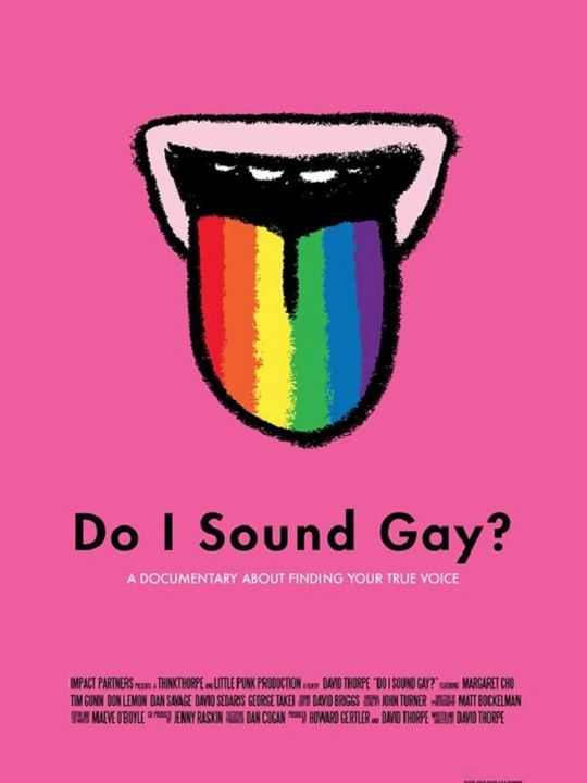 Do I Sound Gay? : Affiche