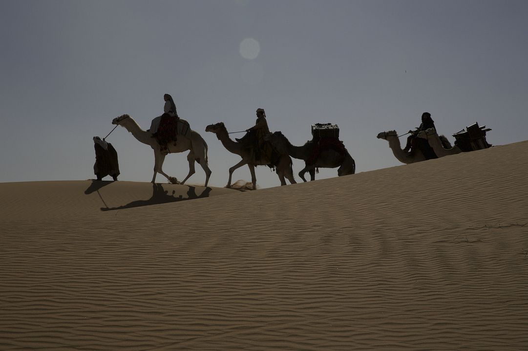 Queen of the Desert : Photo