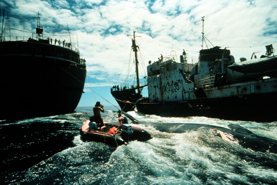 How To Change The World : Photo
