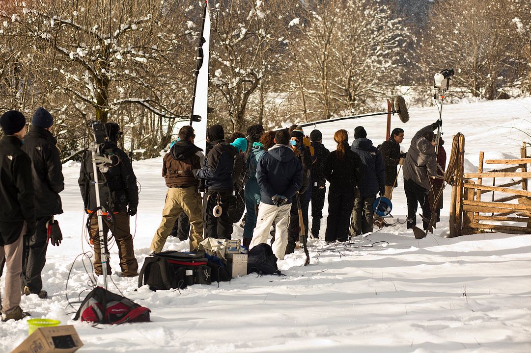 Palmiers dans la neige : Photo