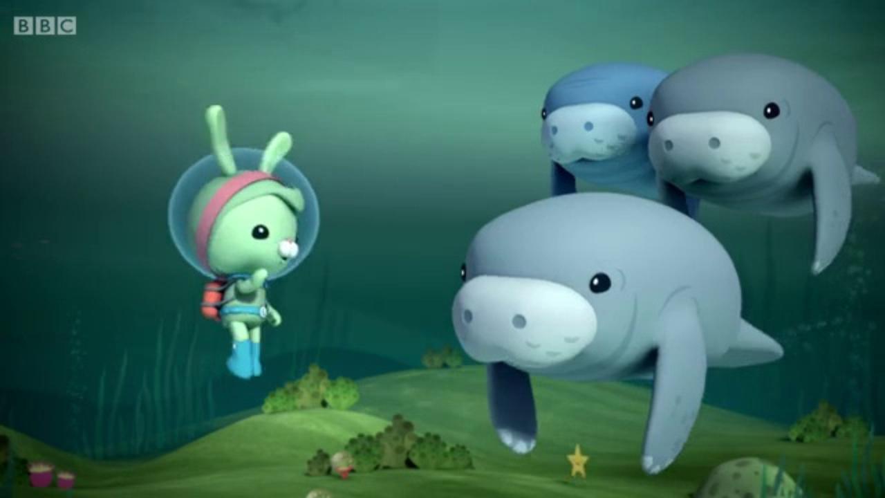 Les Octonauts : Photo