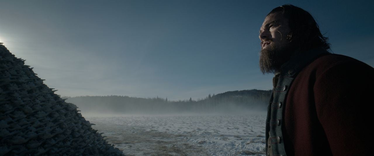 The Revenant : Photo Leonardo DiCaprio