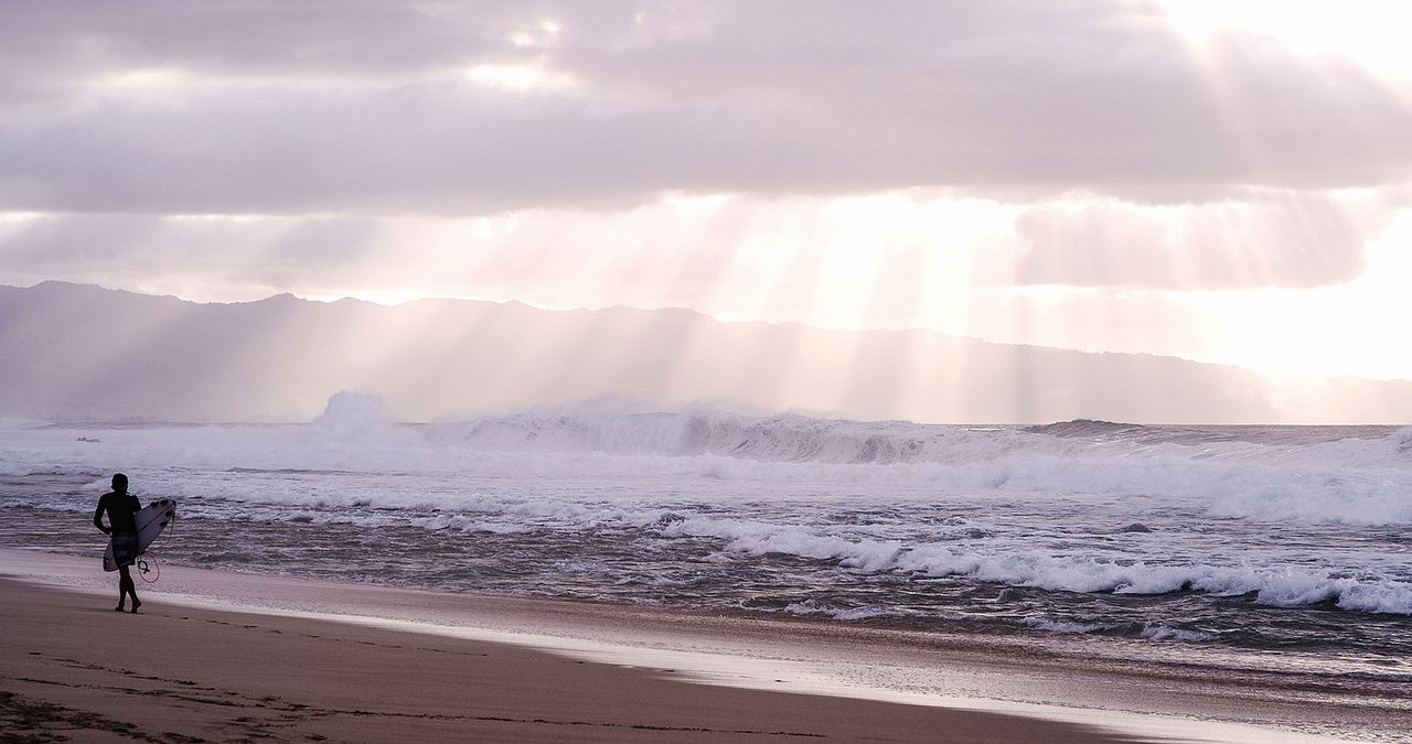 The Search for Freedom : Photo