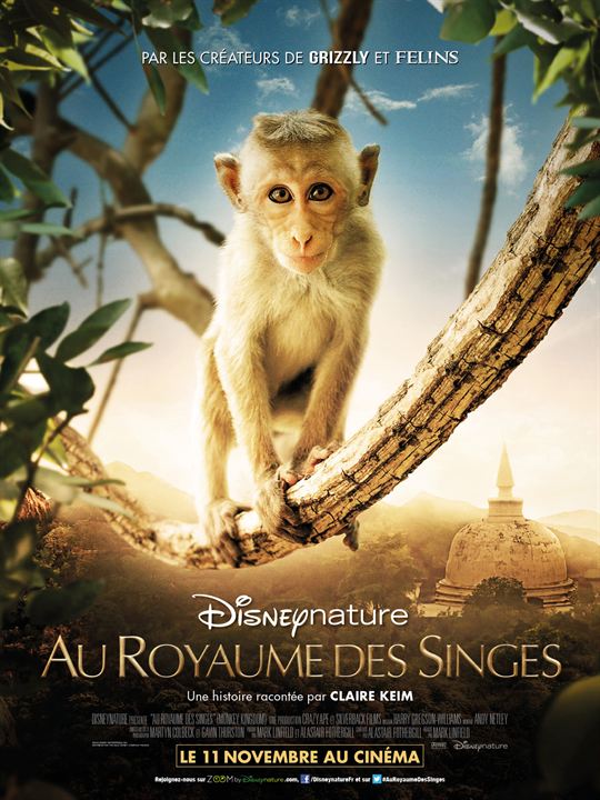 Au Royaume des Singes : Affiche