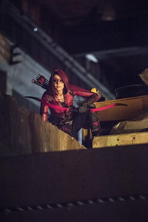 Arrow : Photo Willa Holland