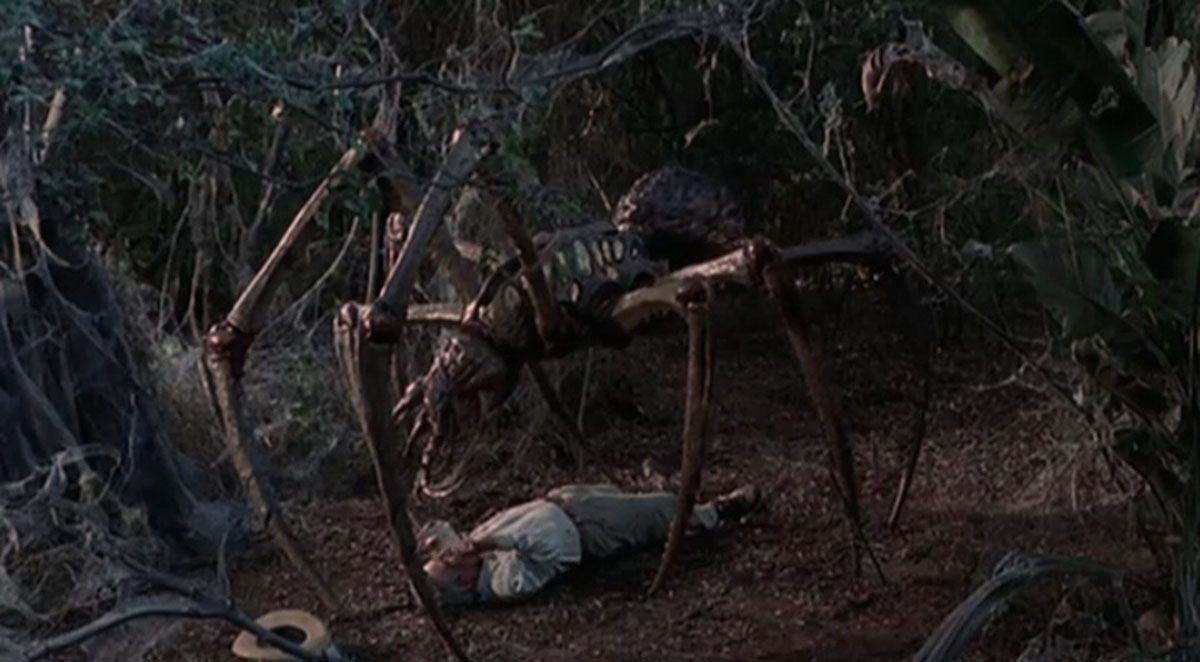Arachnid : Photo