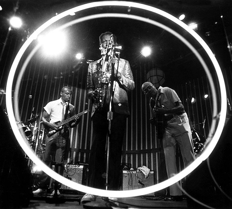 Ornette: Made in America : Photo