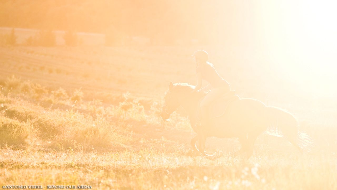 Beyond our arena : Photo