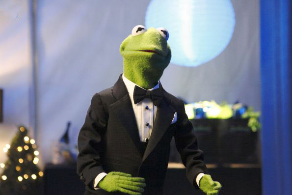 The Muppets : Photo