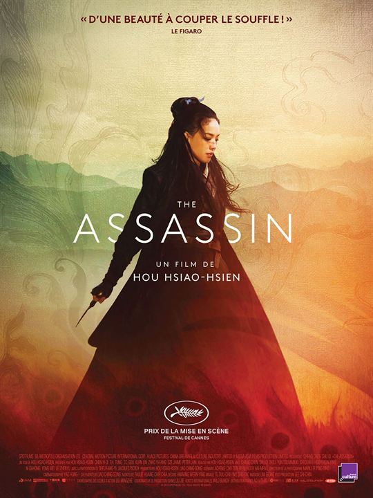 The Assassin : Affiche