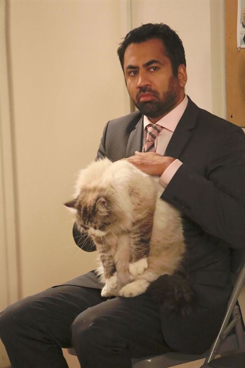 New Girl : Photo Kal Penn