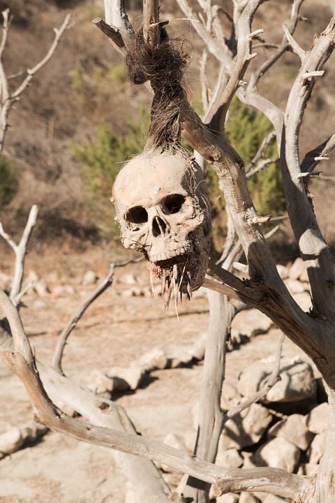 Bone Tomahawk : Photo