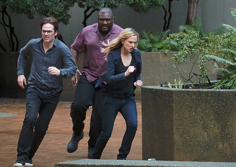 Zoo : Photo Kristen Connolly, Nonso Anozie, Billy Burke