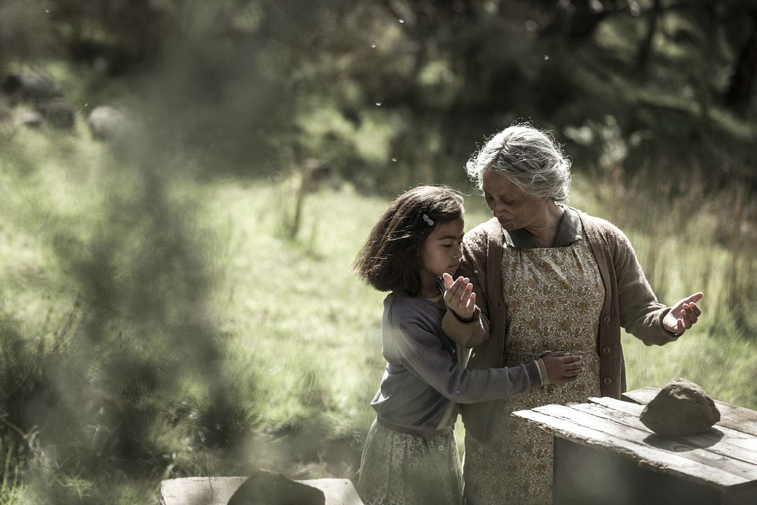 The Patriarch : Photo Nancy Brunning