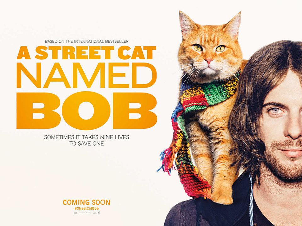Un chat pour la vie : Affiche