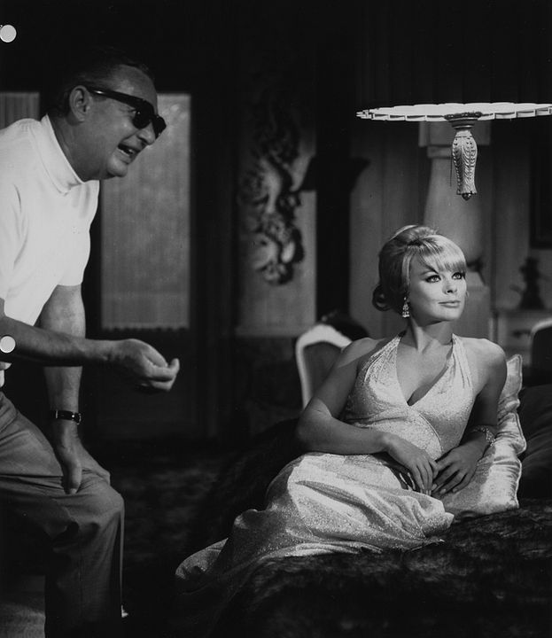 Photo du film Matt Helm règle ses comptes Photo 11 sur 13 AlloCiné