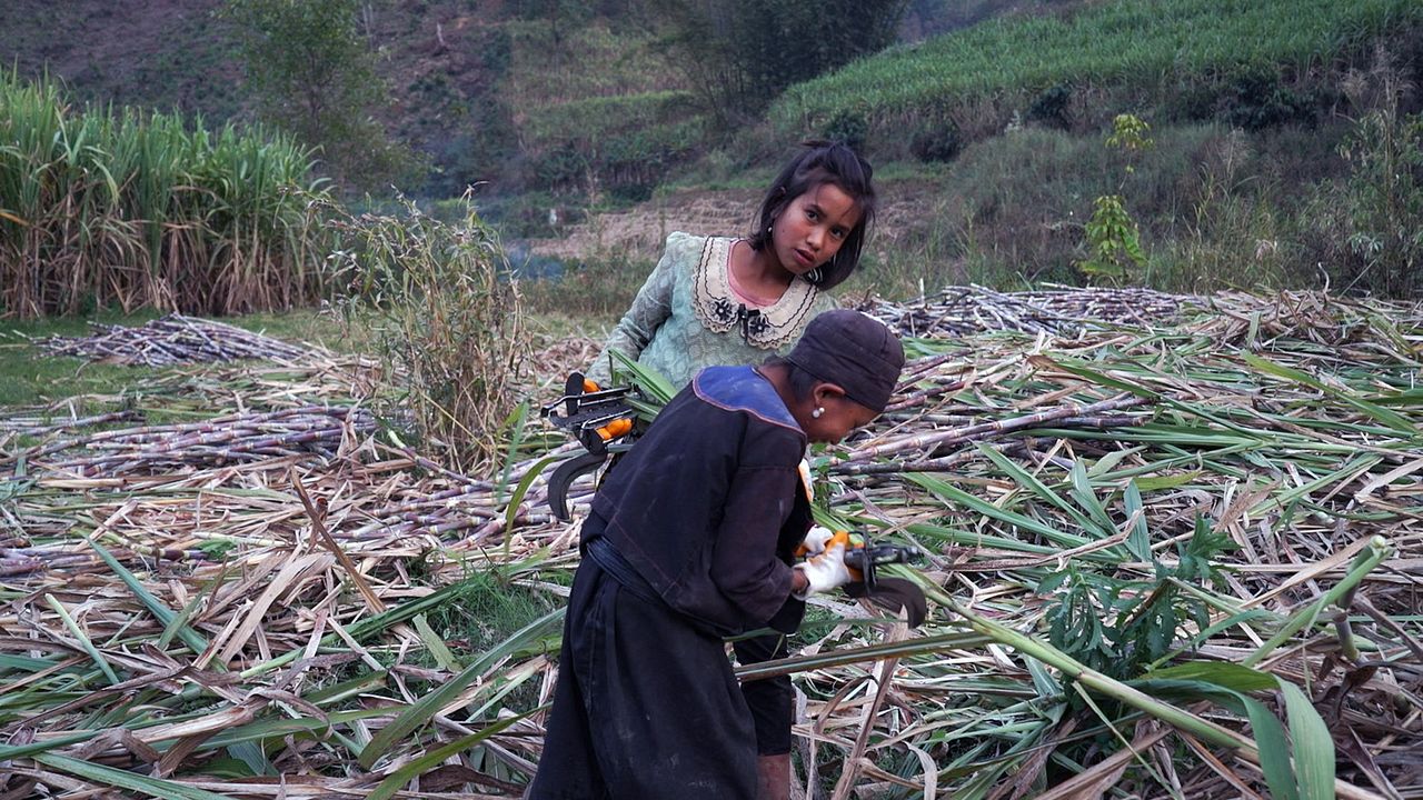 Ta’ang, un peuple en exil entre Chine et Birmanie : Photo