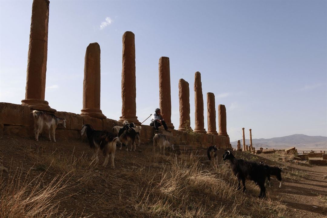 Timgad : Photo