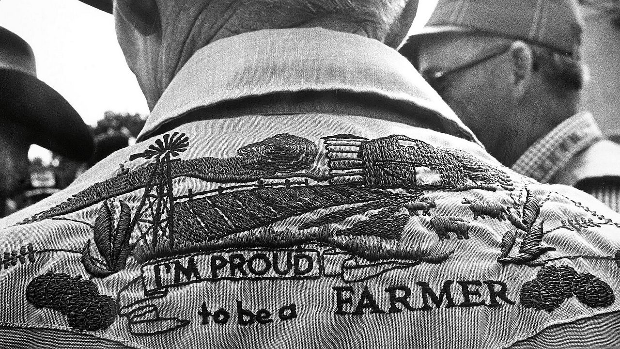 Look & See: A Portrait of Wendell Berry : Photo