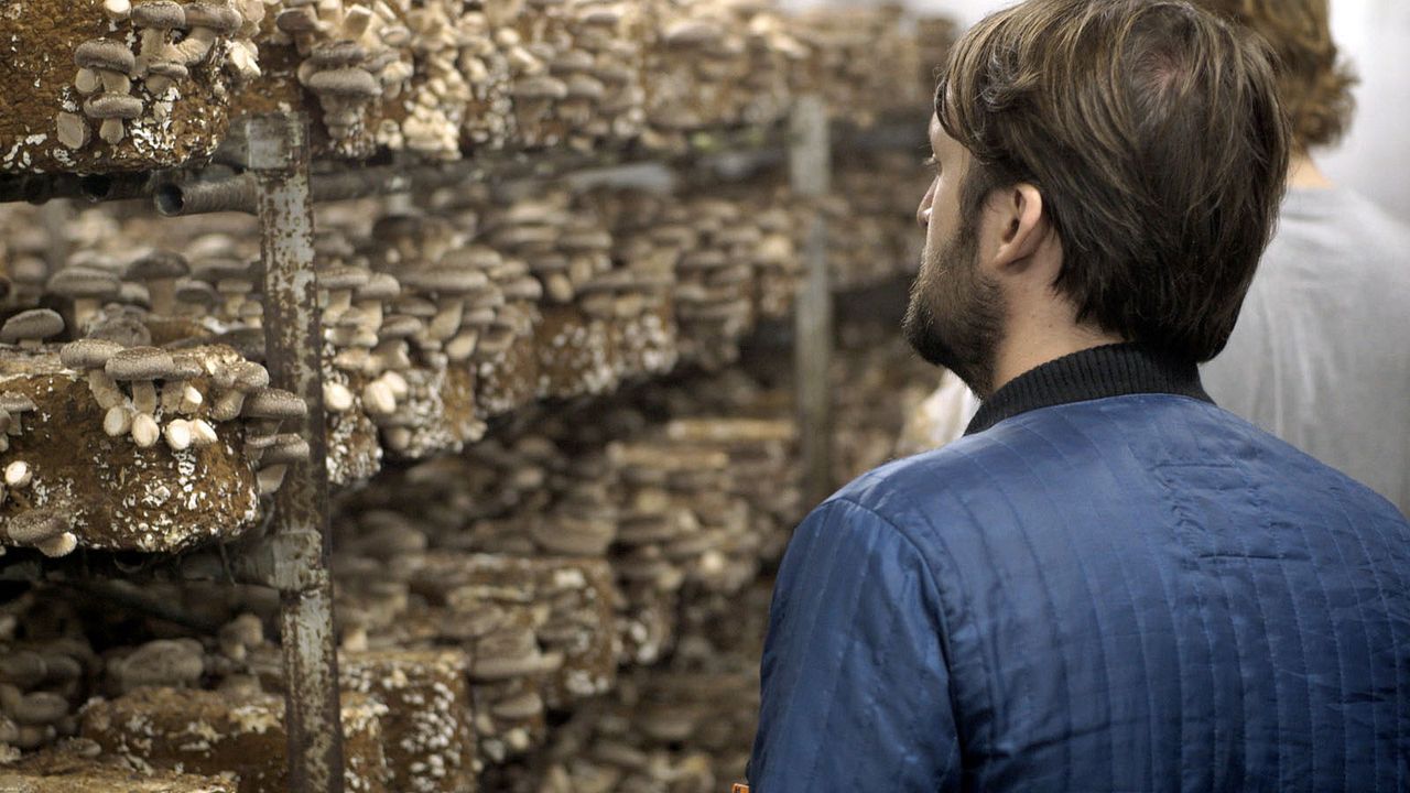 Noma au Japon : (Ré)inventer le meilleur restaurant du monde : Photo