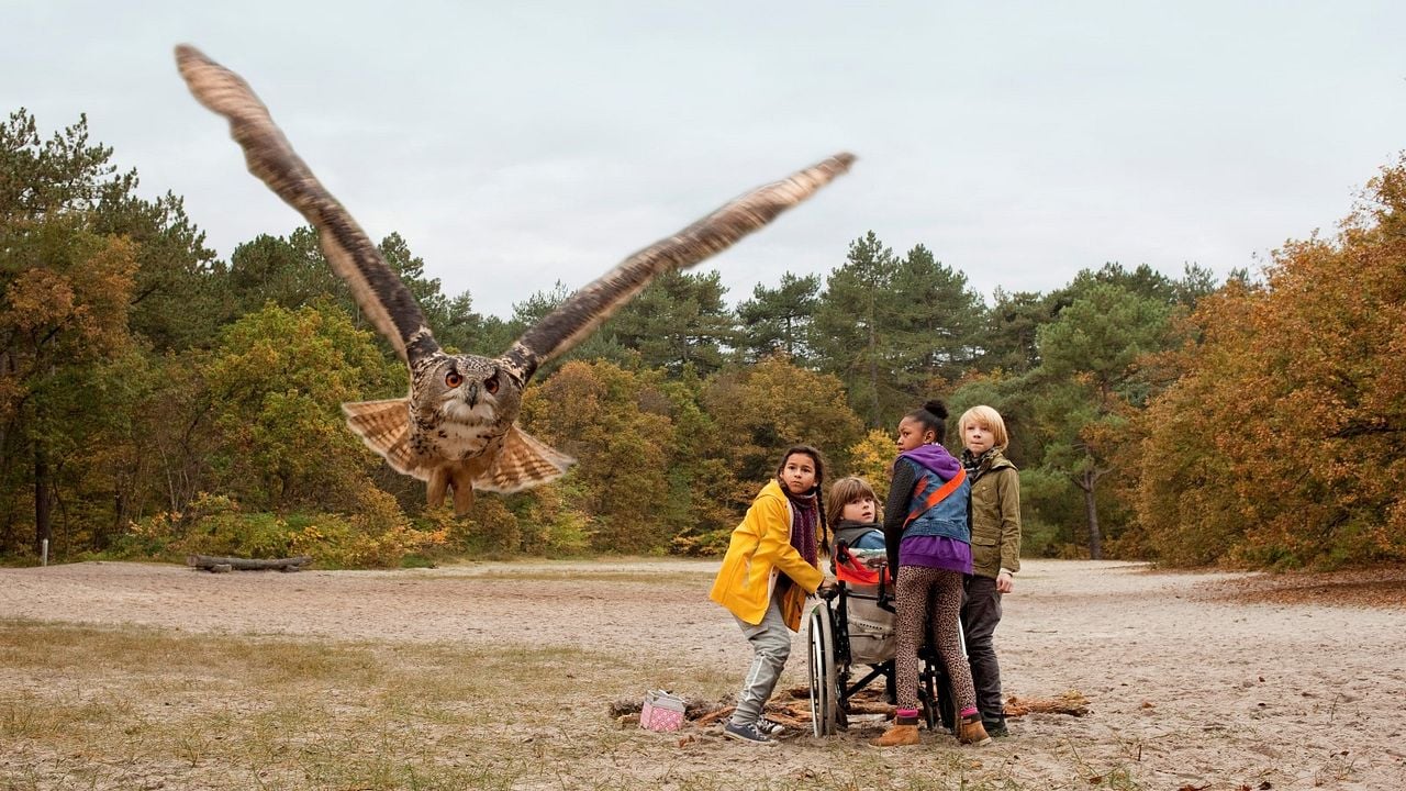 Aventures en pleine nature : Photo Hiba Ghafry, Jashayra Oehlers, Matheu Hinzen