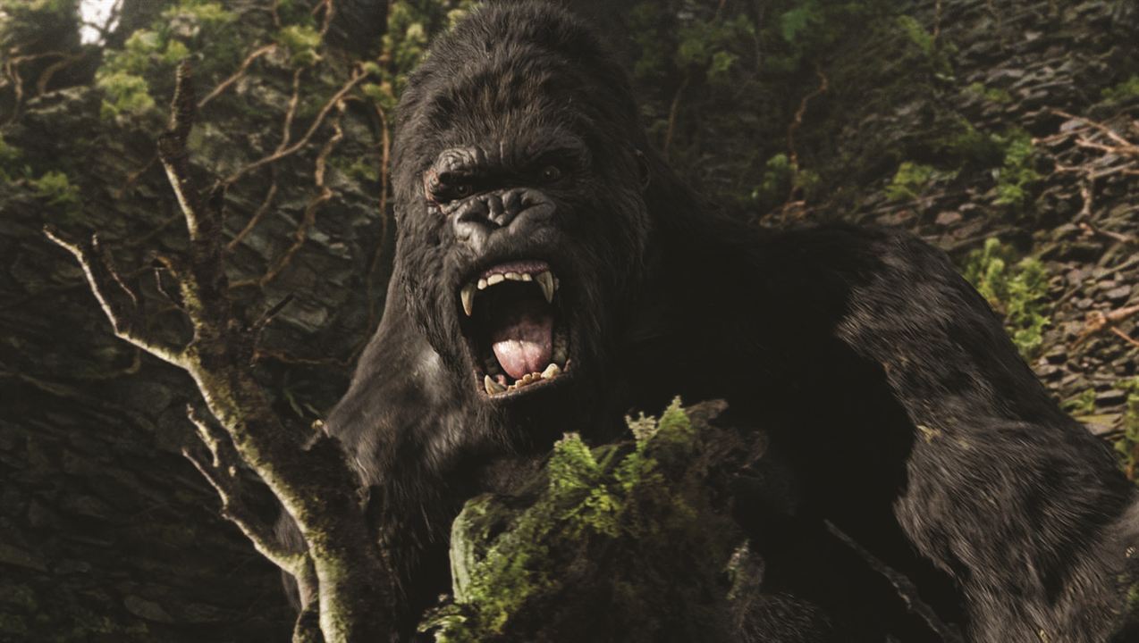 King Kong : Photo