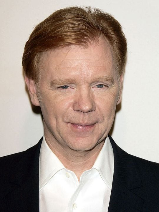 Affiche David Caruso