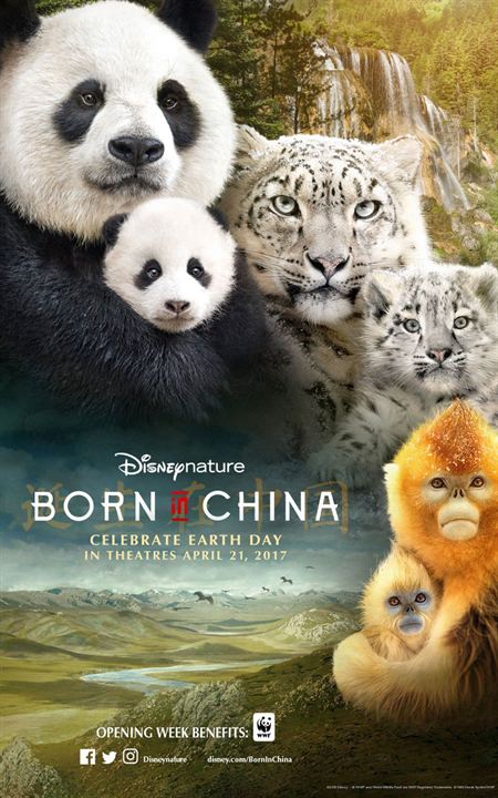 Nés en Chine : Affiche
