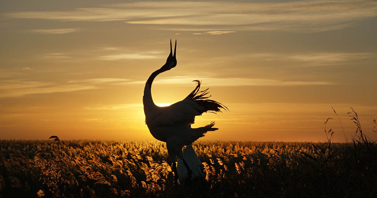 Nés en Chine : Photo