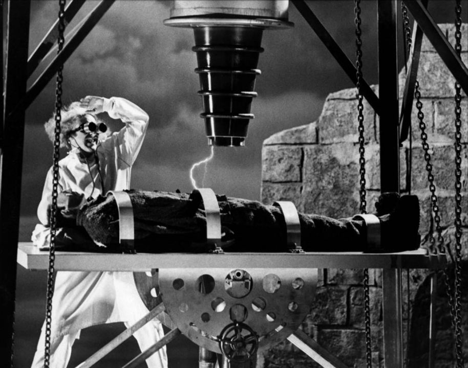 Frankenstein Junior : Photo Gene Wilder, Peter Boyle