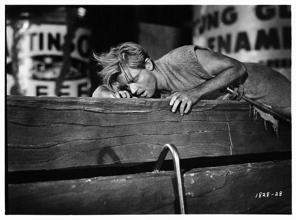 L'Homme qui rétrécit : Photo Grant Williams