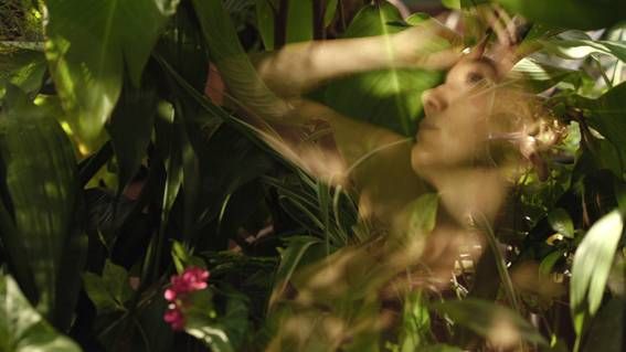 Le Jardin secret : Photo