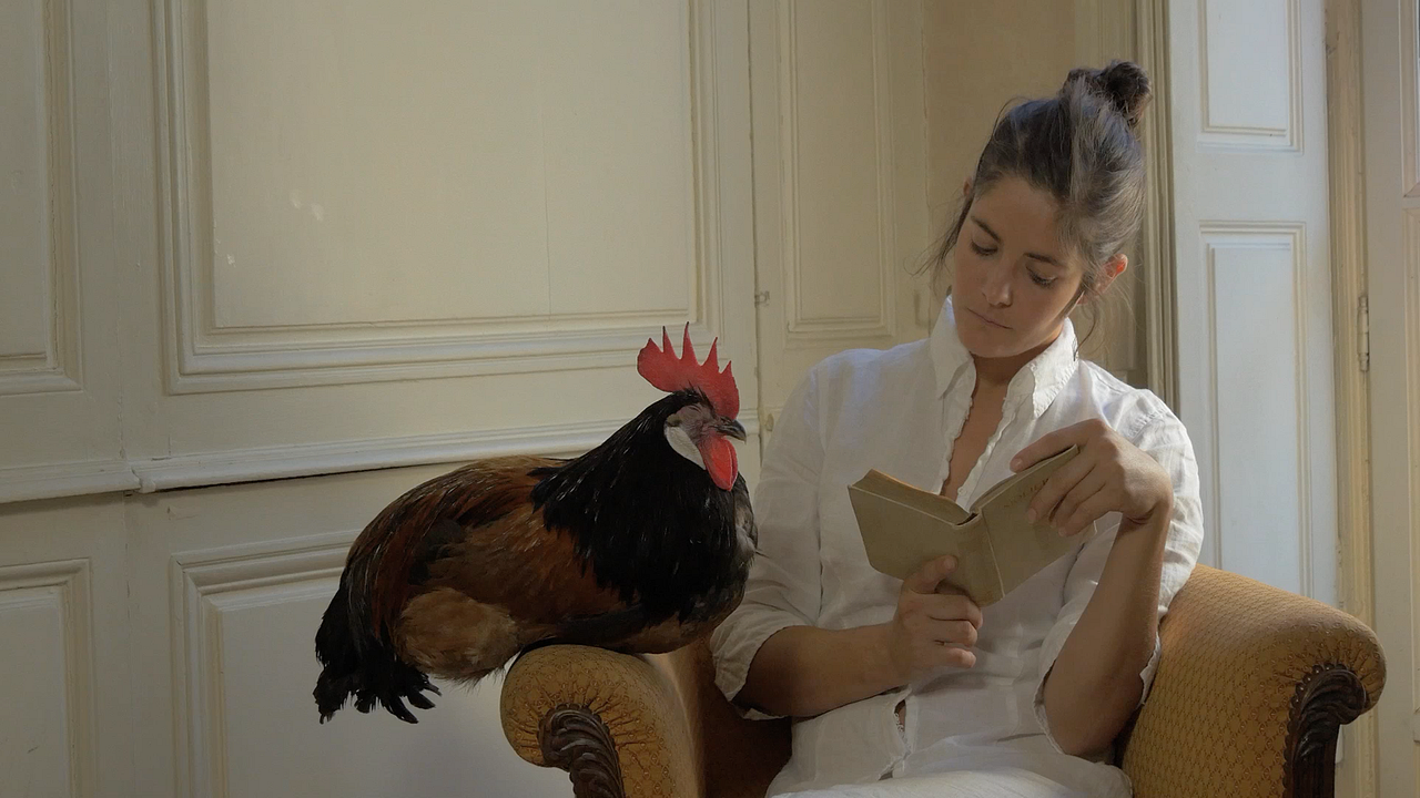 La Fable du coq : Photo