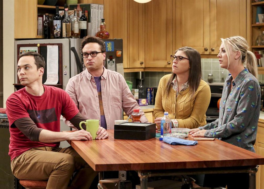 The Big Bang Theory : Photo Johnny Galecki, Mayim Bialik, Kaley Cuoco, Jim Parsons