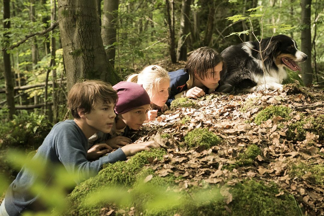 Le Club des Cinq et la vallée des dinosaures : Photo Marinus Hohmann, Allegra Tinnefeld
