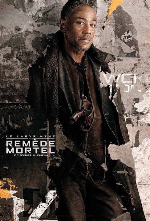 Le Labyrinthe : le remède mortel : Affiche